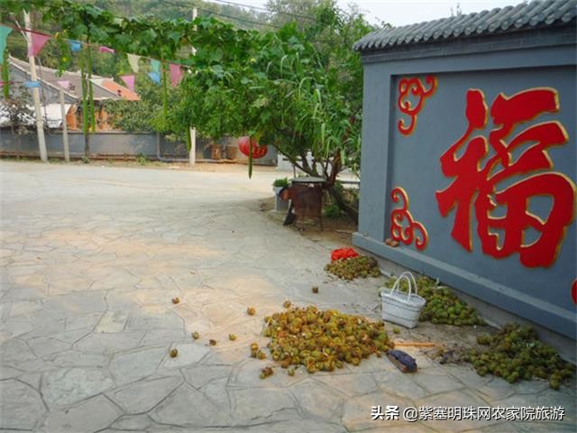 天津蓟县梨木台景区住宿,天津蓟州区梨木台农家院