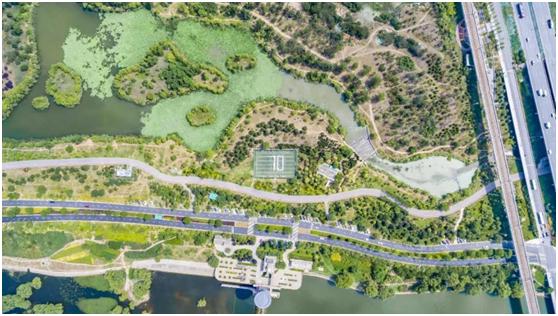 百米画卷绘祖国小学素材,十米长卷绘祖国幼儿园