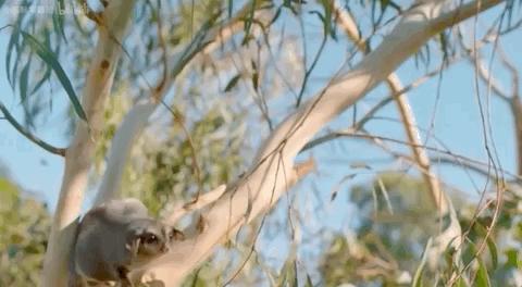 豆瓣9.6！娃刷到停不下来，还能看出人生大道理