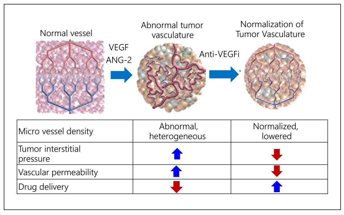 中晚期肝癌的靶向治疗与免疫治疗,肝介入栓塞后多久可以用靶向药