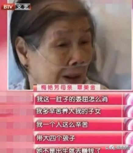 每月生活费10万,梅艳芳母亲哭穷