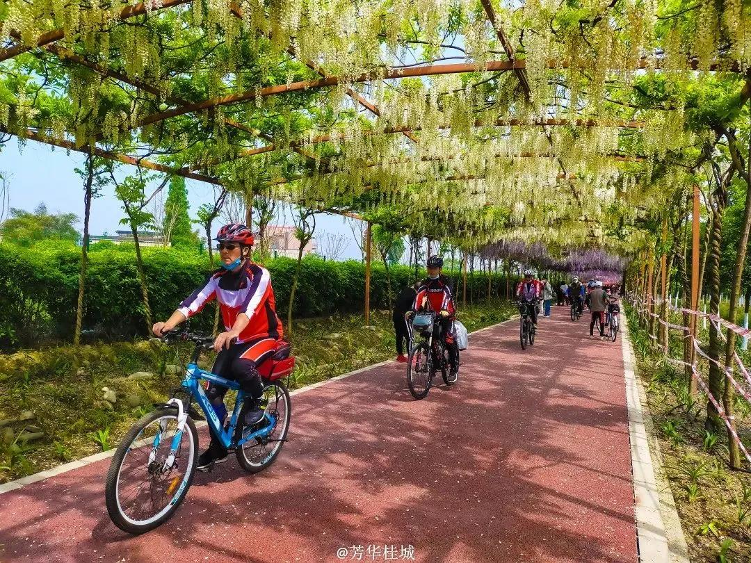 周边有什么可逛的地方吗,4月适合去哪儿旅游攻略