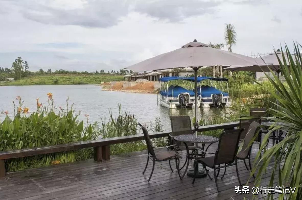 就连白鹭都中意的顶级度假村，不输巴厘岛的惠州候鸟，全家轻奢游