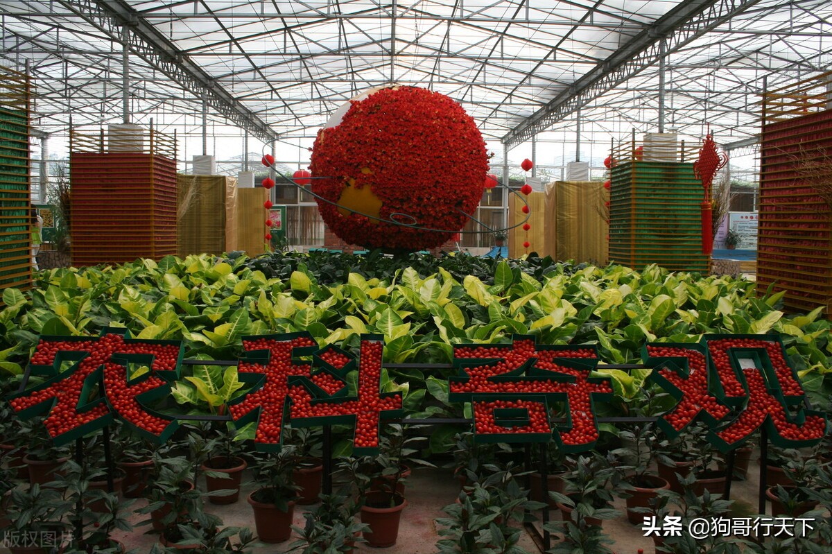 珠海免费旅游景点大全,珠海十大网红景点推荐