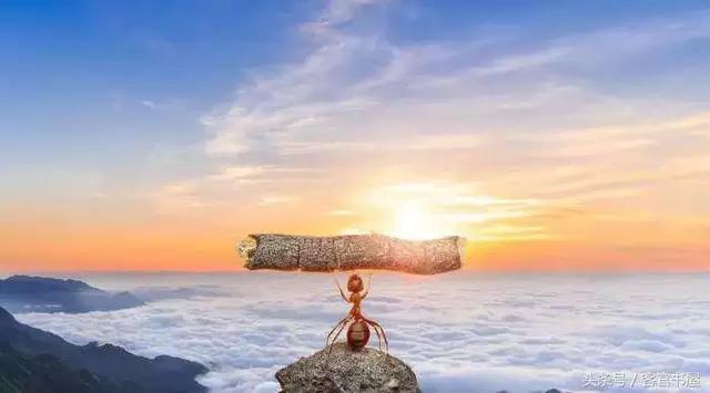 促进阅读理解与提高阅读速度,快速阅读能激发阅读兴趣