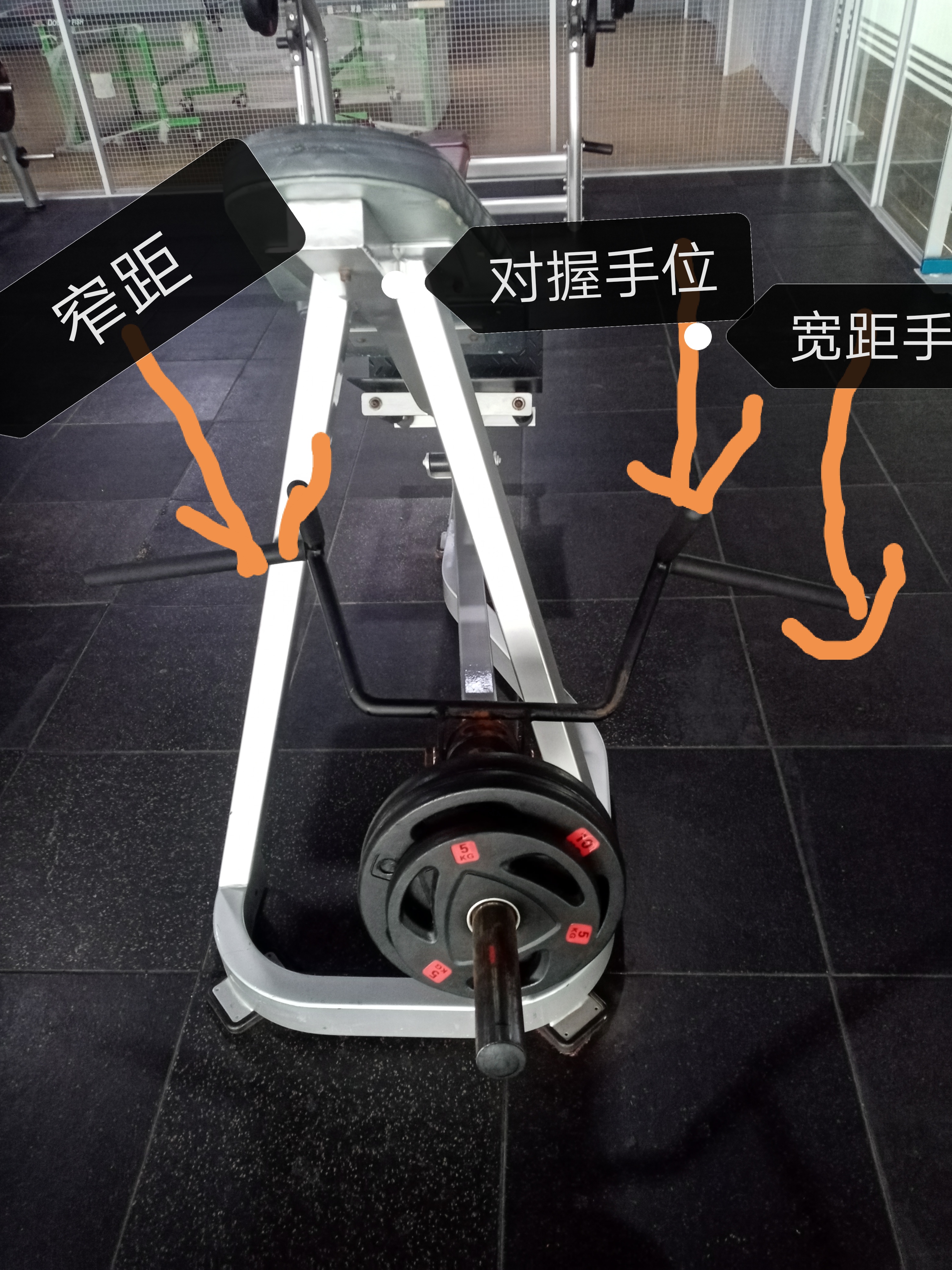 练背必须要练俯身划船么,下背划船练背正确姿势