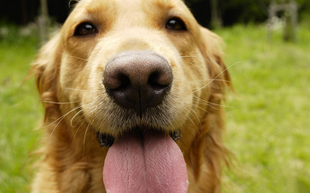 妈妈不得错过的接种疫苗小知识,关于乙肝疫苗接种知识
