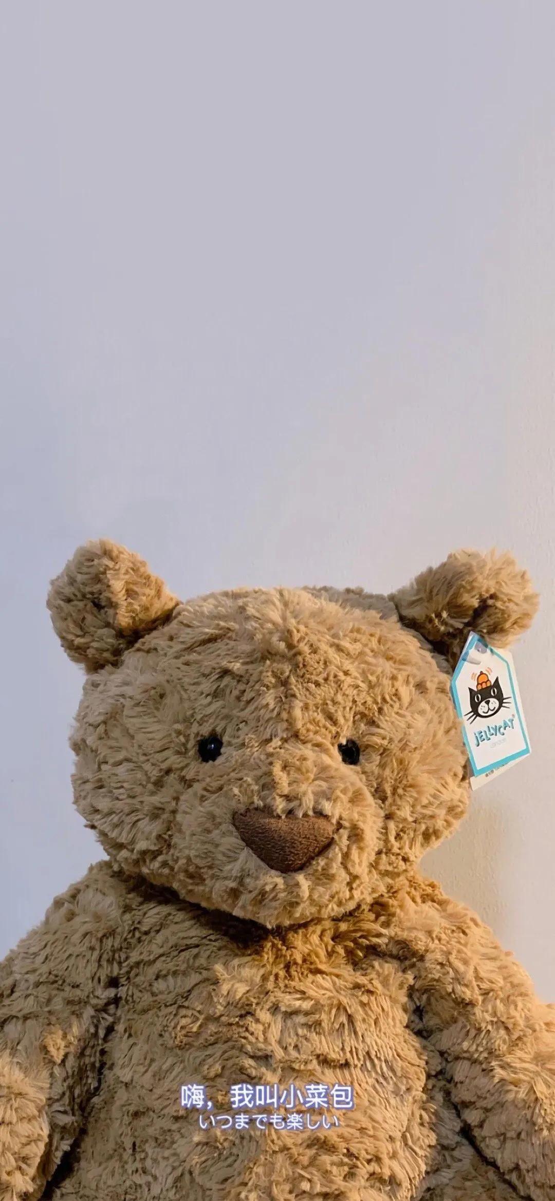 巴塞罗那熊4k壁纸,巴塞罗那熊高清手机壁纸