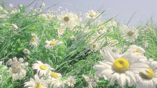 阿玛尼的口红袋子,阿玛尼口红袋子