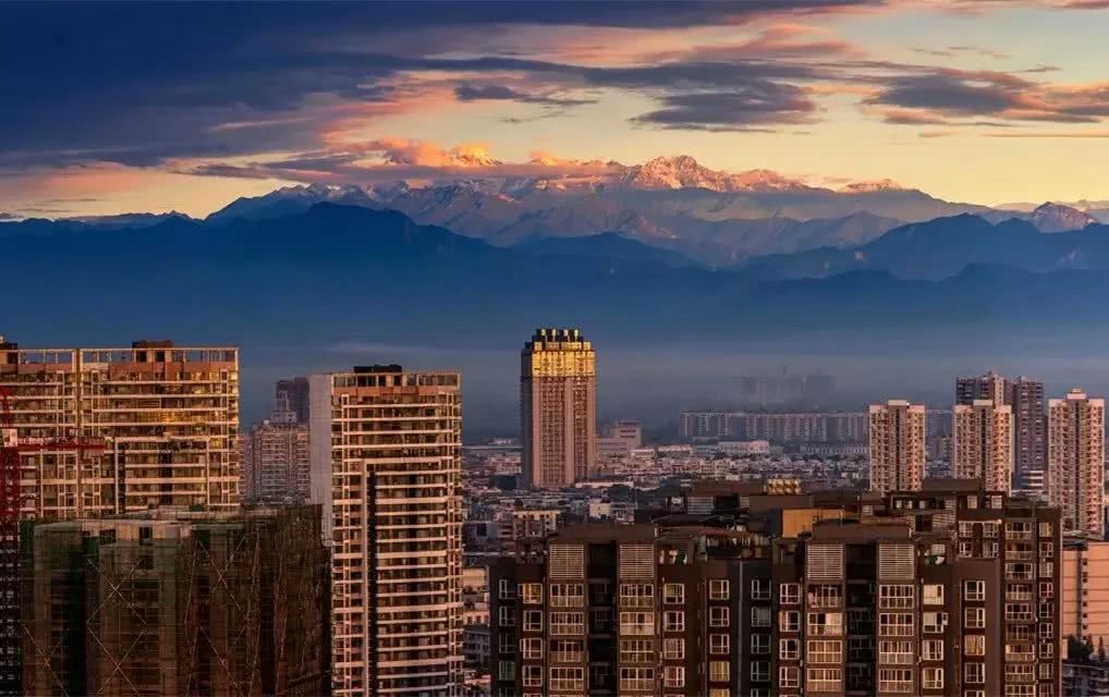 好稀奇！成都春熙路树上长灵芝成都的生态环境，到底有多好？