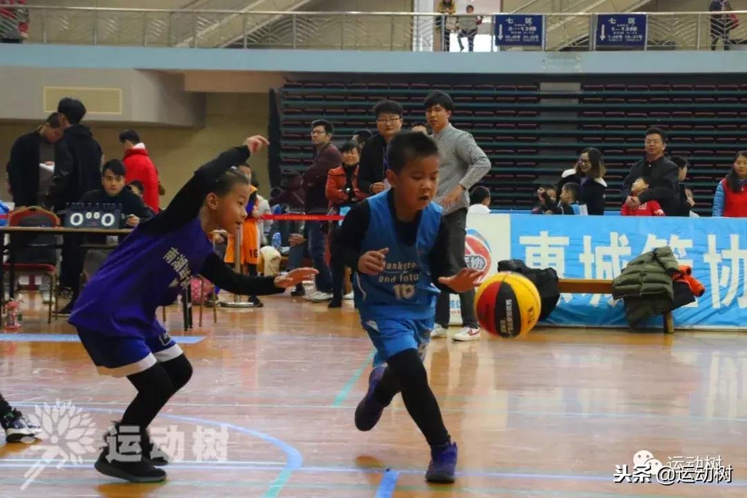 中国篮球名宿走进学校,中国篮球名宿26分