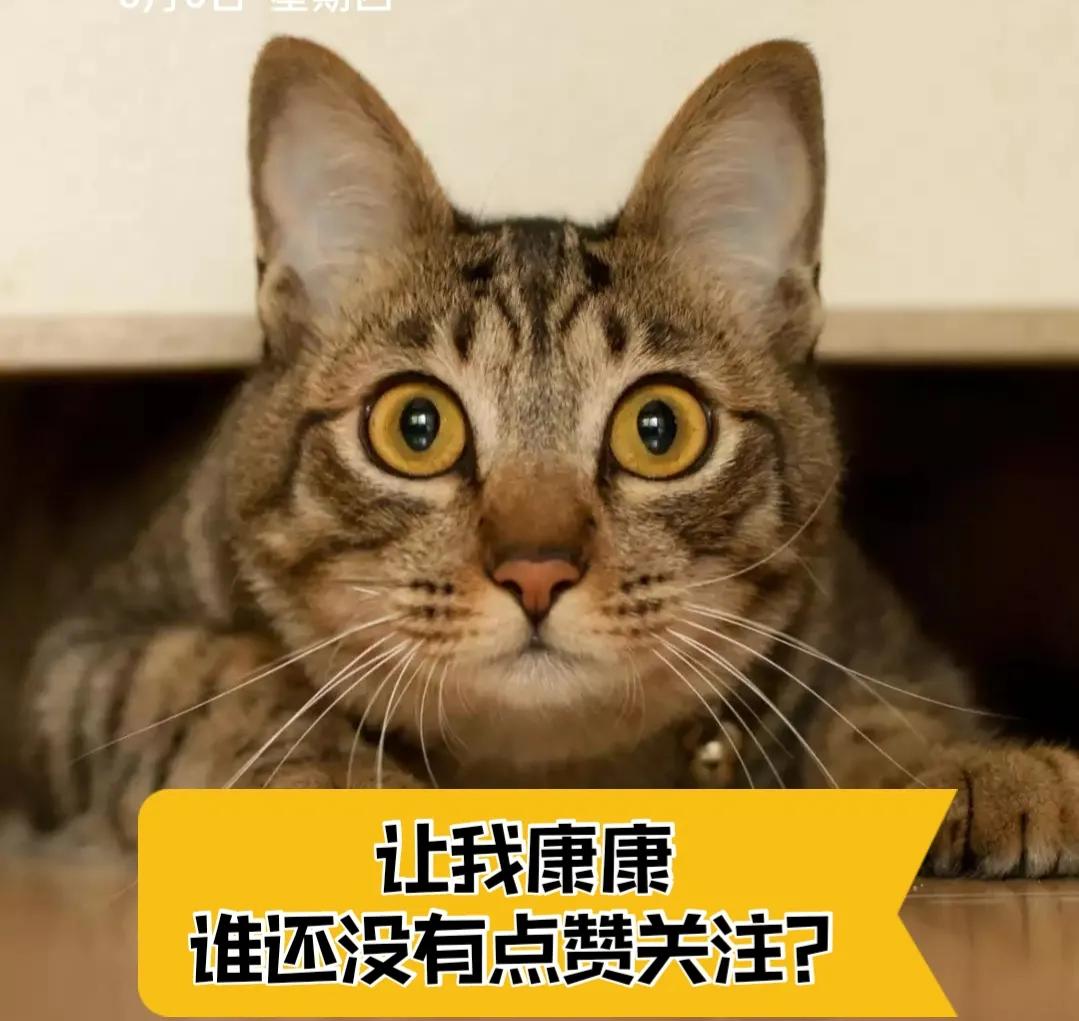 盘点影视剧中五大龅牙,阴阳脸朱顶红