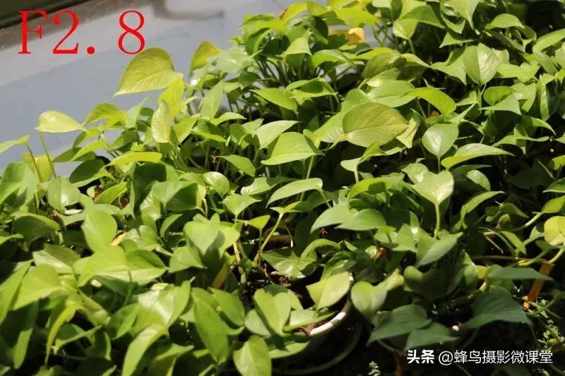 镜头有灰会进cmos吗,镜头有灰有影响二手价格吗