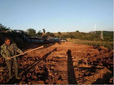 90后夫妻养殖致富,00后创业养殖鸵鸟