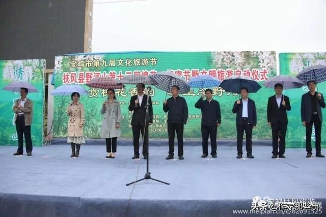 赴一场槐花的邀约——宝鸡作家赴扶风野河山采风