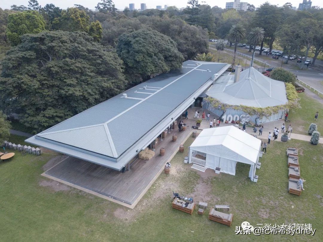 可瑞康原装进口奶粉,可瑞康奶粉澳洲价格