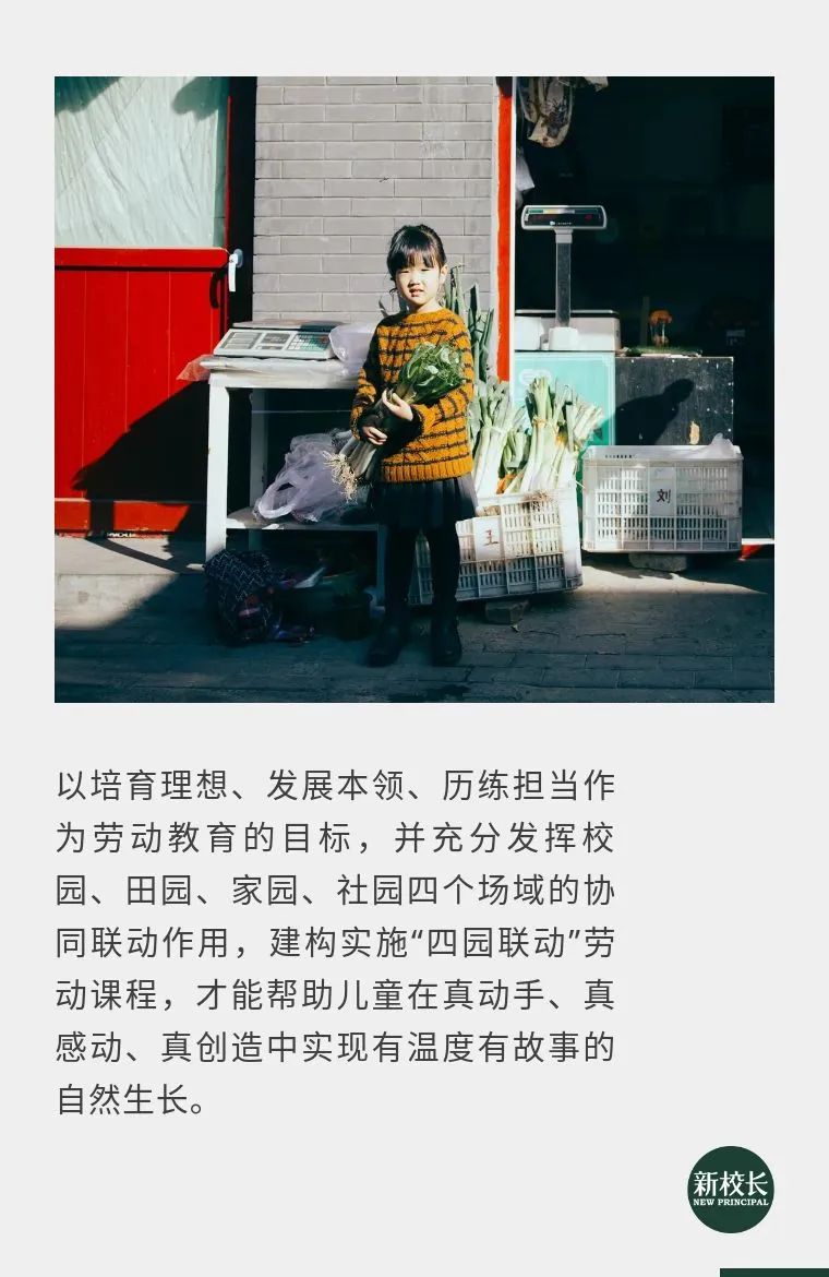 劳动课教学新思路新方法,如何设计一堂有特色的劳动课