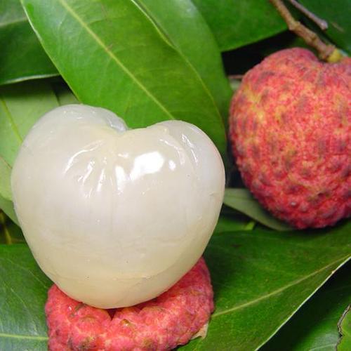 炎热的夏天挡不住夏日的清凉,炎热的夏天自然少不了清凉