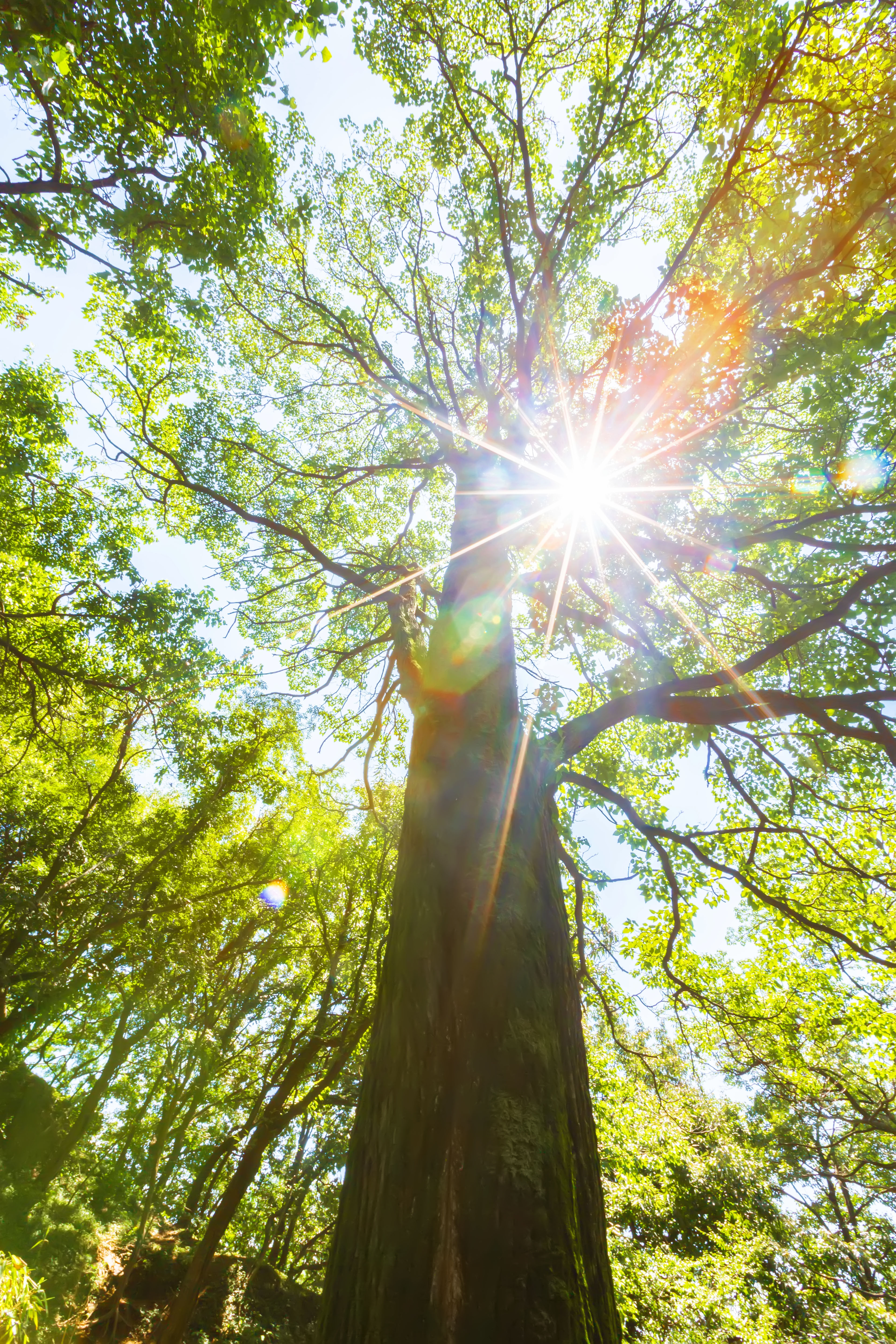花果山景区的游玩攻略,情侣花果山旅游攻略