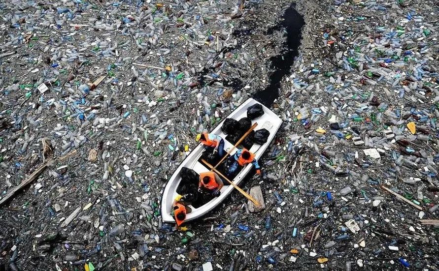 别忘了这份垃圾分类攻略,请收下这份垃圾分类攻略