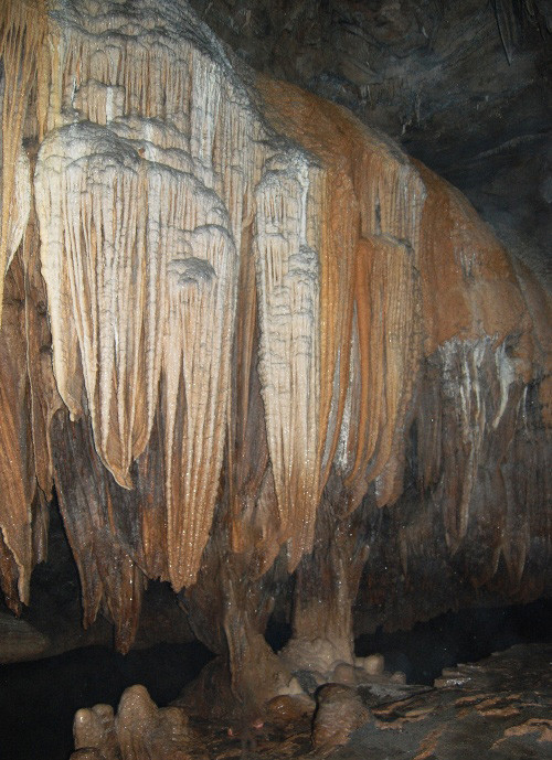 世外桃源绿草如茵百花争艳,世外桃源鸟语花香人间仙境