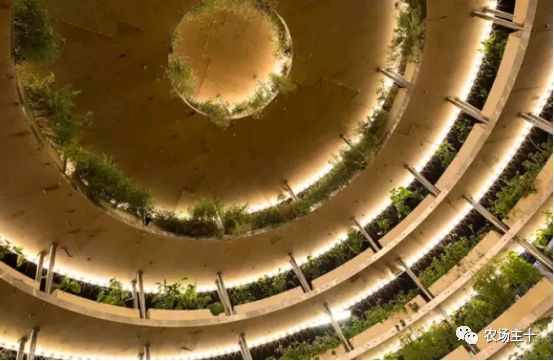 民宿装修成本多少钱一平方,民宿投入成本和回报率