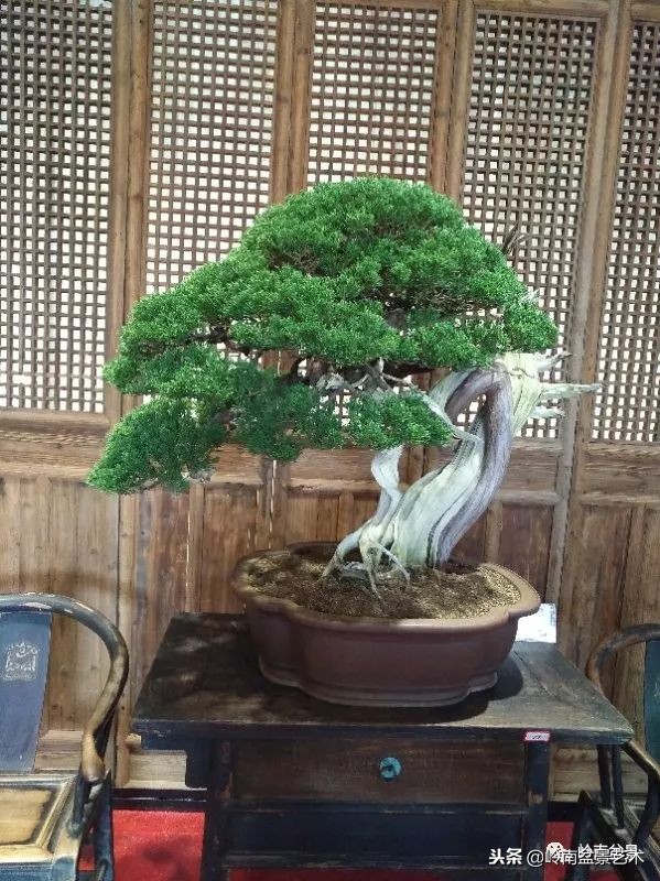 閲戝脊瀛愬湪鐩嗘櫙涓殑鍦颁綅,姒嗘爲鍦ㄧ泦鏅晫鍦颁綅