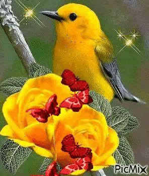 这是我见过最美丽的风景用英语,这是我见过最美的风景啥意思