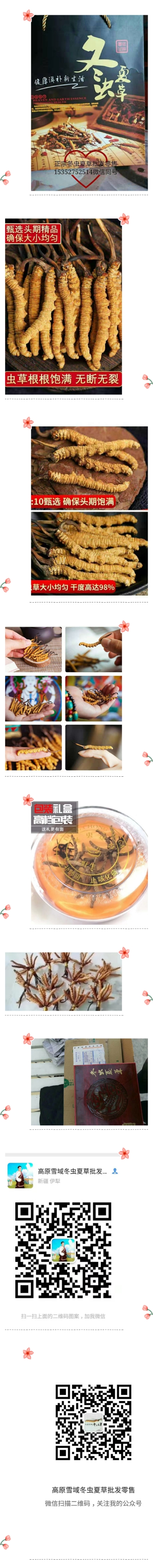 冬虫夏草滋补珍品,雪域之宝冬虫夏草