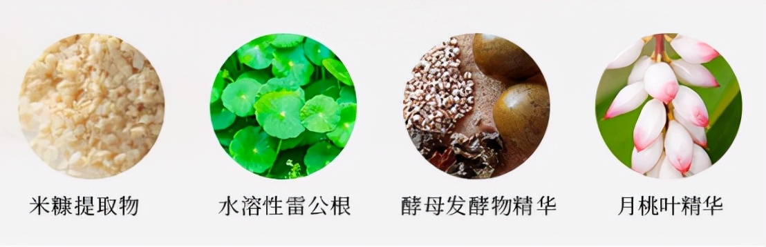 回购率最高的国货,回购日本必买化妆品