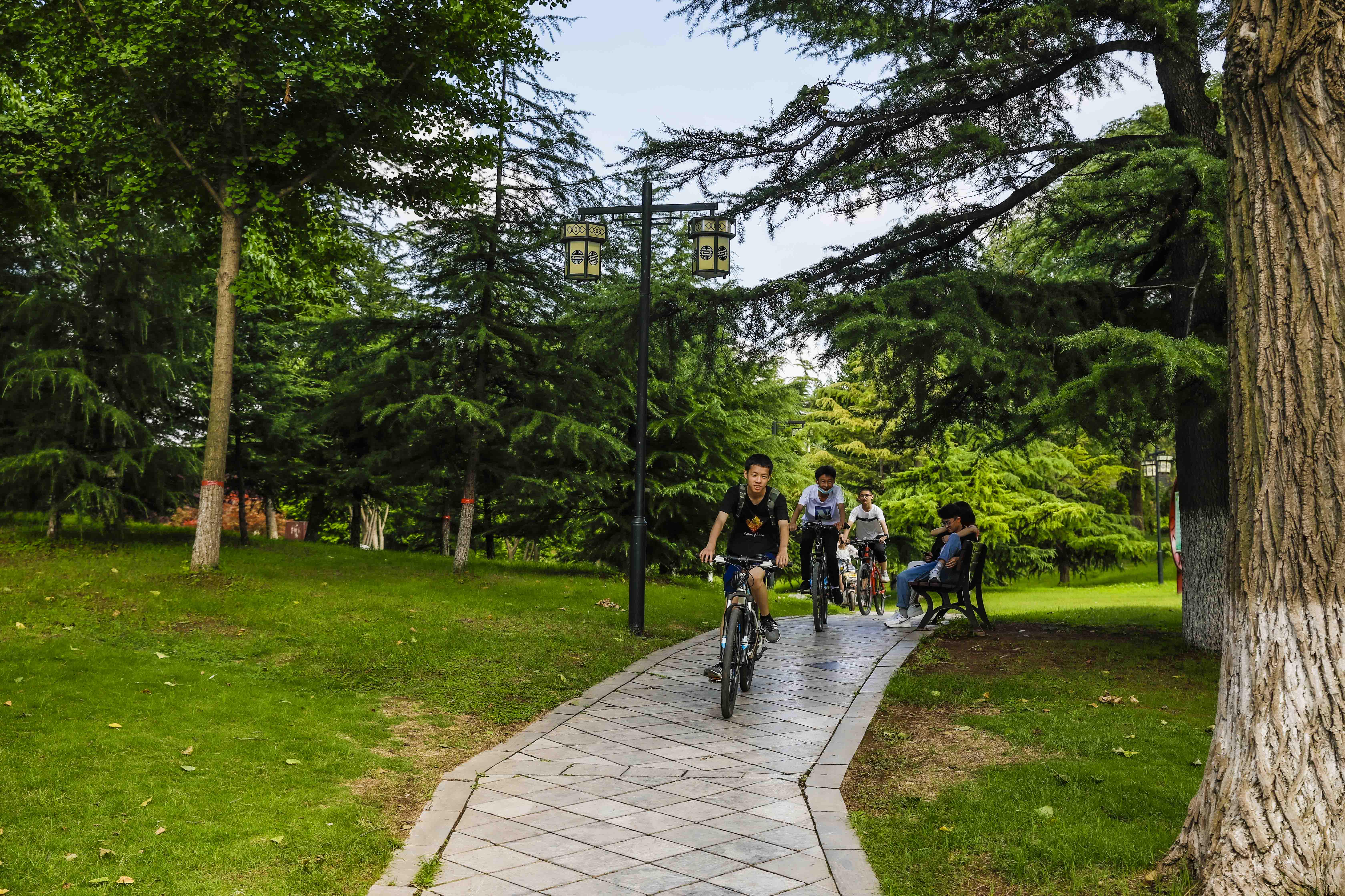 青州夏季一日游的好地方,青州周末旅游攻略