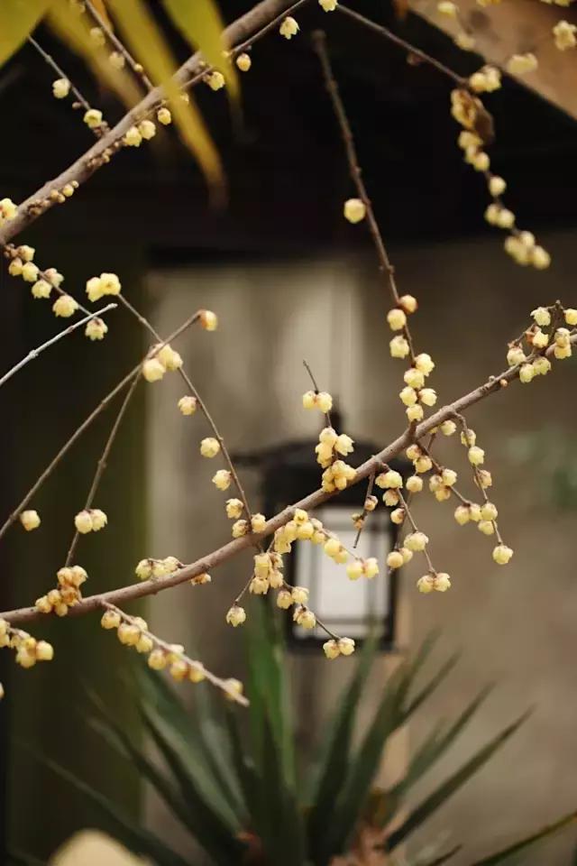 90后小伙花100万造房子,90后小伙花几千元装修500个平方