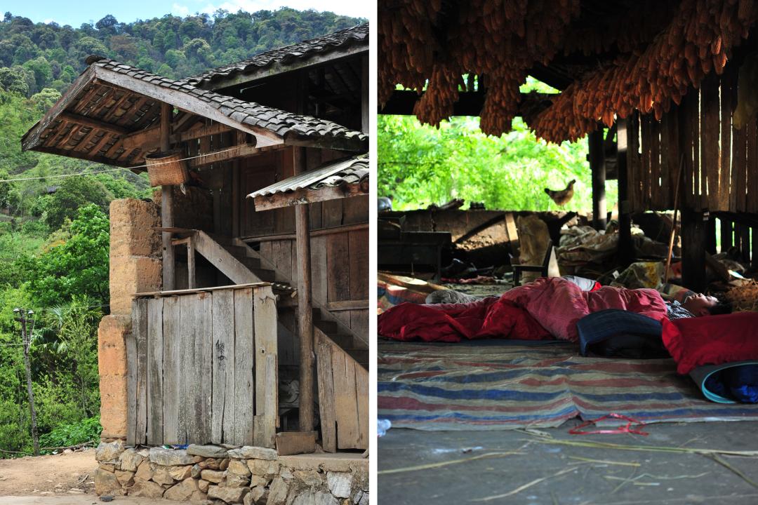 吃毒菇、睡蛇窝，只为挖一堆草，这个重庆博士要做当代神农