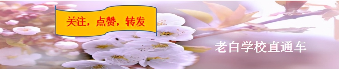 北京西城最好的小学有哪些,北京西城最好的小学排名前十