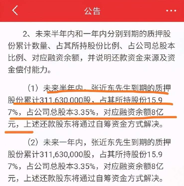 苏宁停牌谁来拯救张近东,苏宁张近东复盘