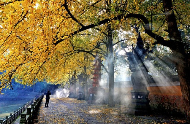 宁波东钱湖顶级度假酒店,宁波东钱湖旅游度假酒店推荐