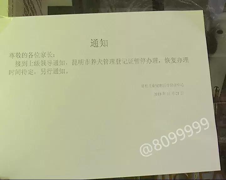 办了狗证有什么权利,狗证是一年一办吗