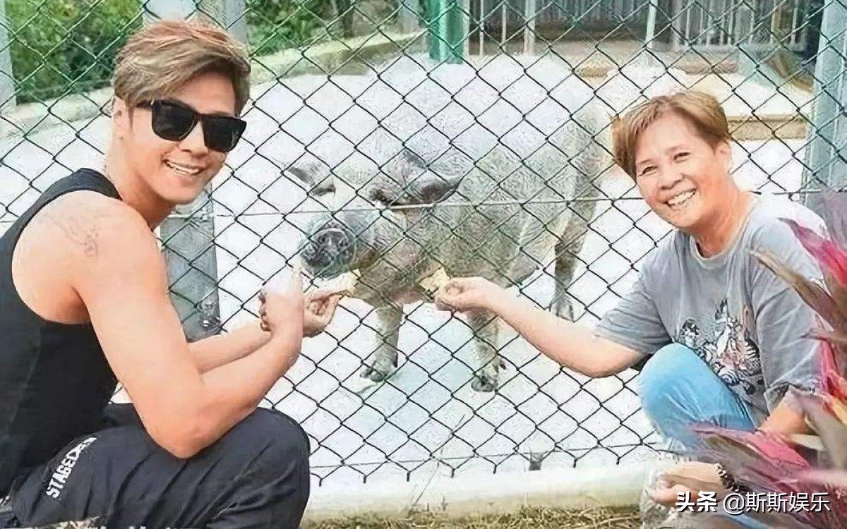 宋茜送医院,宋茜带宠物猪扫楼