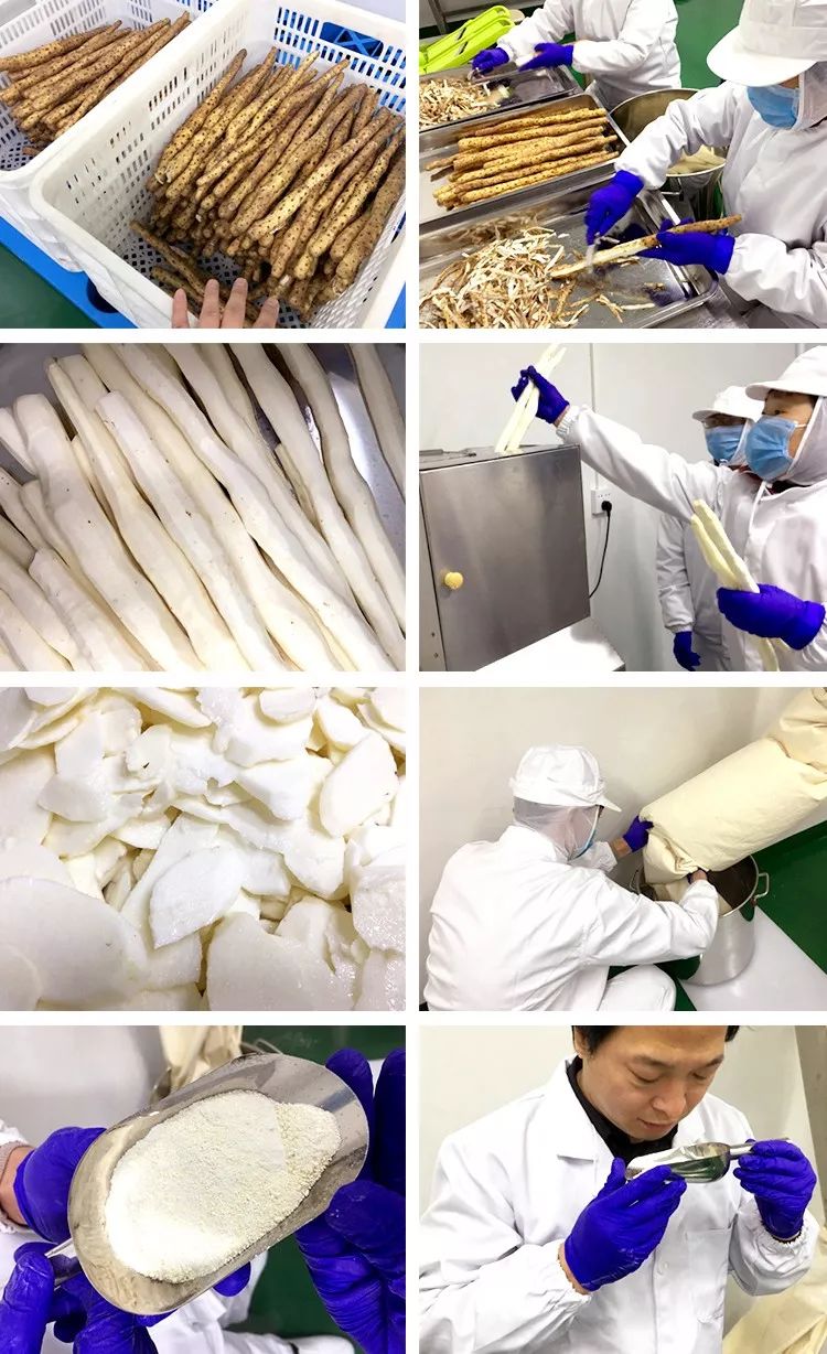 你总胃不舒服？肚子大？这条【养胃秘诀】快跟我试试