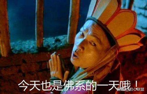 通用的考研经验分享：2019大连外国语大学日语学硕考研360度剖析