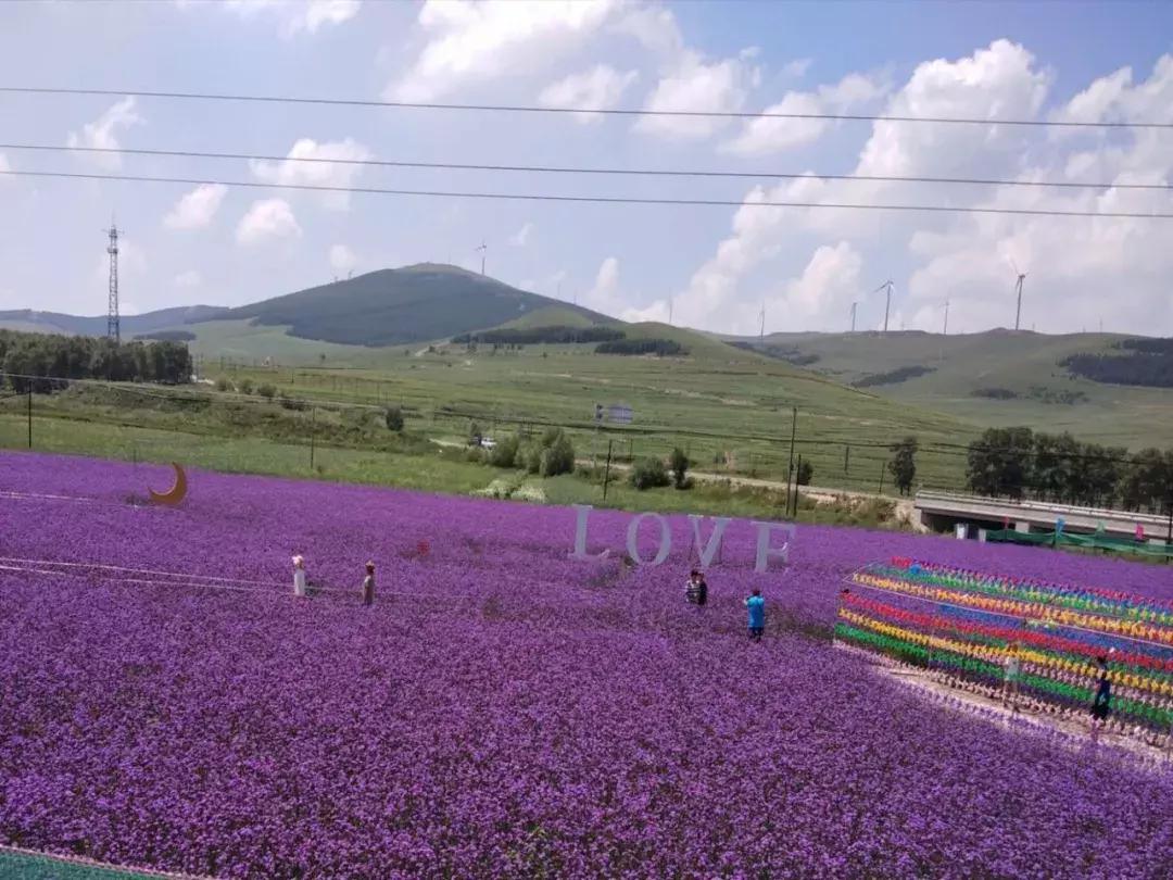 草原天路自驾游攻略最新,天路塞罕坝乌兰布统