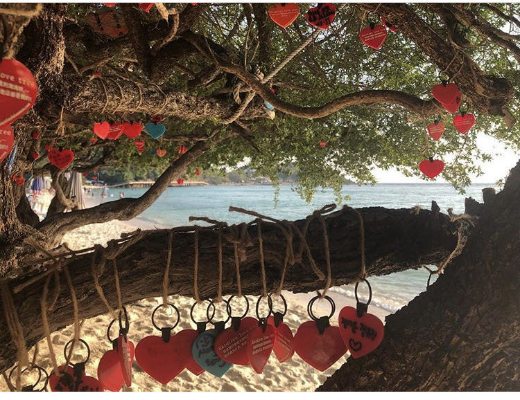 阁兰岛旅游带哪些东西,芭提雅阁兰岛美景