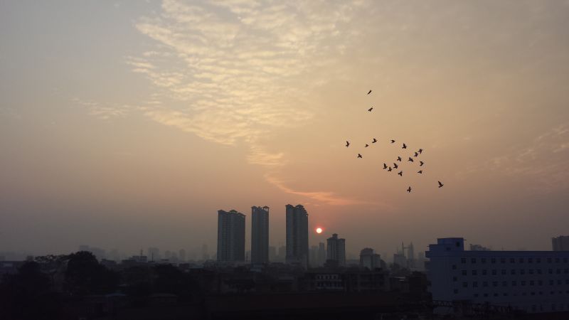 拿什么拯救你迷路的垃圾,拿什么拯救年轻人