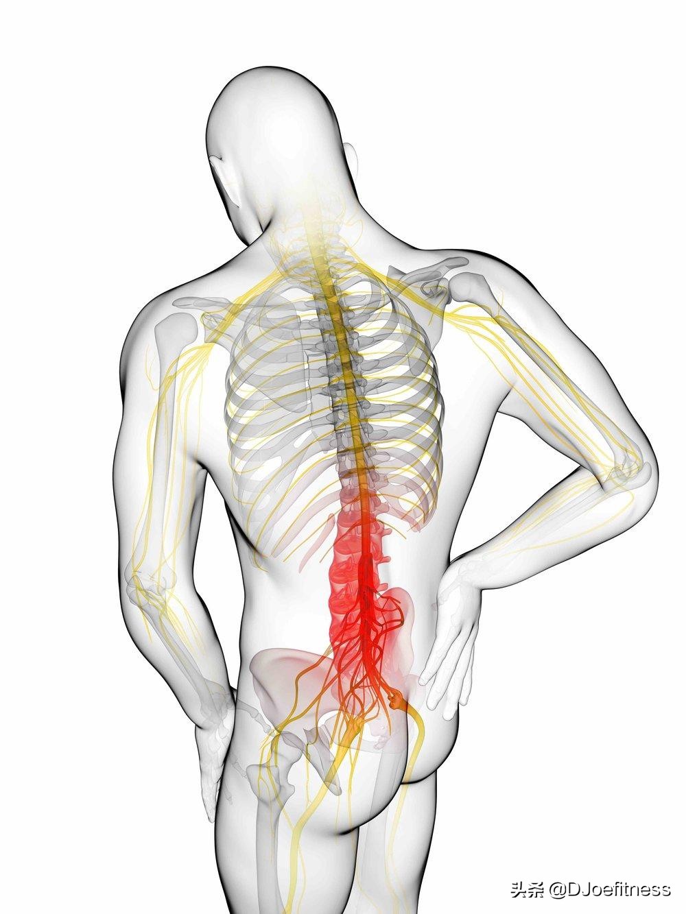 深蹲导致腰痛要停止训练吗,练习深蹲对腰酸背痛有疗效吗