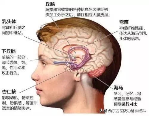 患上抑郁症会有什么表现,得了抑郁症该怎么治愈