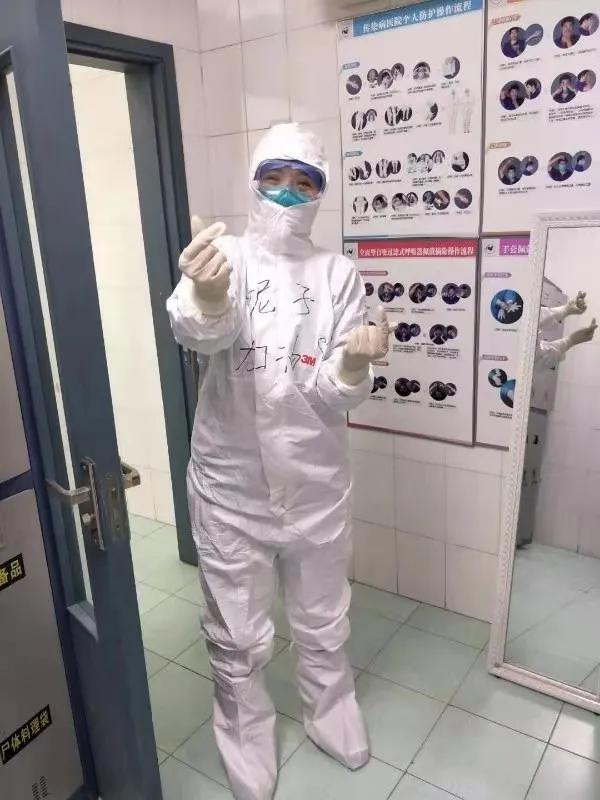 美丽迎春花开了,迎春花盛开的绝美春日盛景