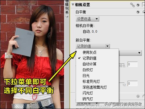 cameraraw曲线详解教程,鹏凰视界cameraraw系列教程