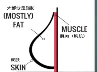 如何减肥胸部变小,减肥会减小胸部大小吗