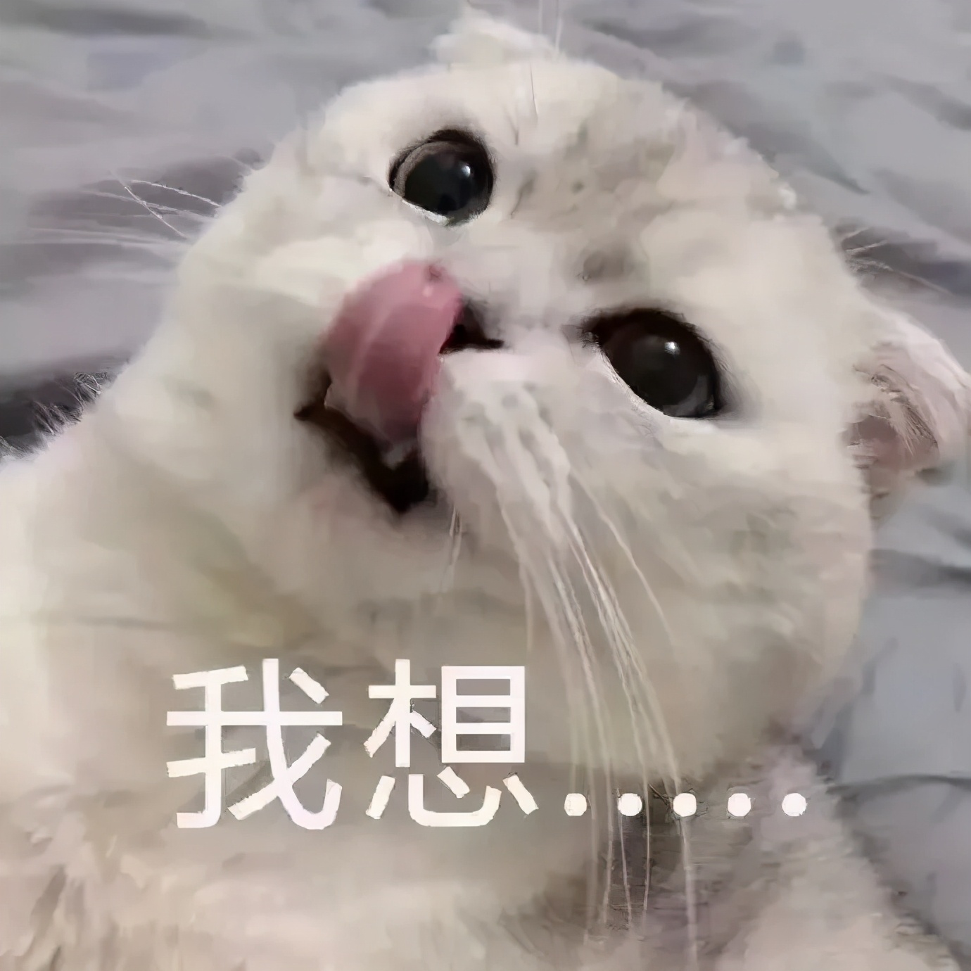 ​原来那么多人都有「姨妈期性冲动」？