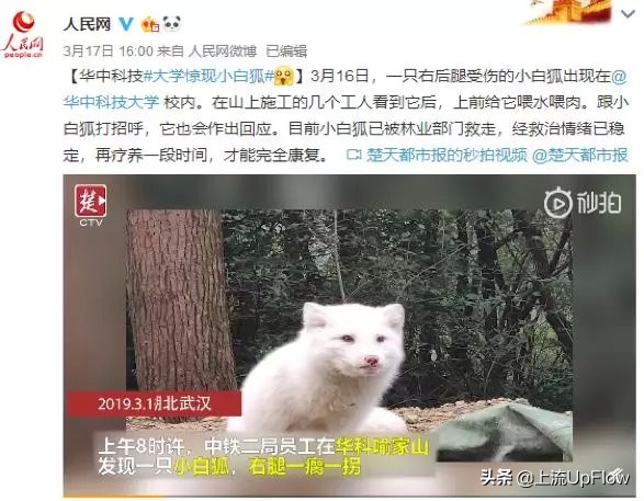 山顶洞人和现代人有什么区别,山顶洞人相比北京人有哪些进步